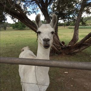 Meet your Posher, Stephania